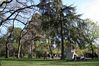 2008-0320_a_24_Madrid_162.jpg