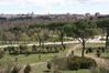 2008-0320_a_24_Madrid_186.jpg