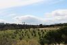 2008-0320_a_24_Madrid_195.jpg