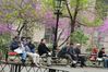 2008-04-26_a05-04_NYC_067.jpg