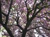 P1060747.JPG
