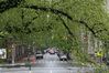 2008-04-26_a05-04_NYC_127.jpg