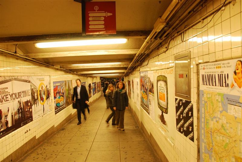 DSC_0053.JPG