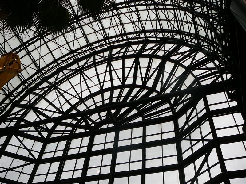P1060890.JPG