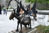 DSC_0568.JPG